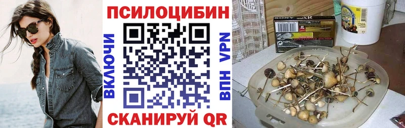 Псилоцибиновые грибы мицелий  Купить закладки  Сертолово 